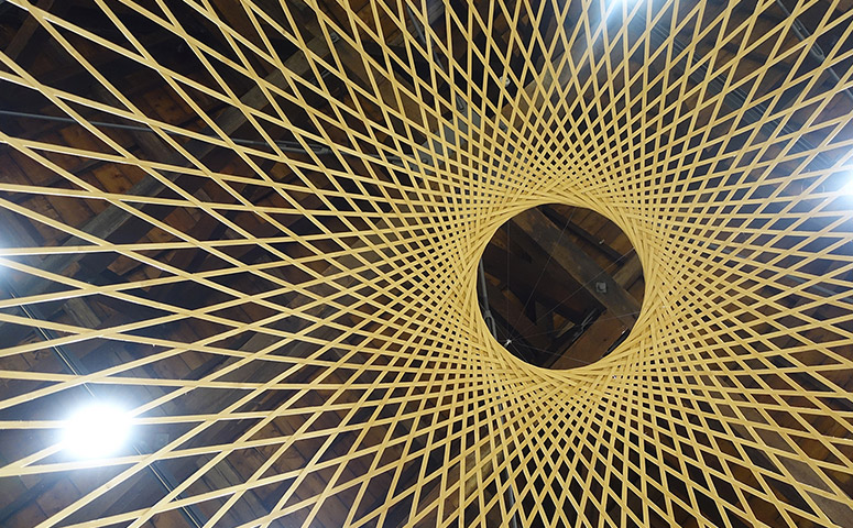 BAMBOO